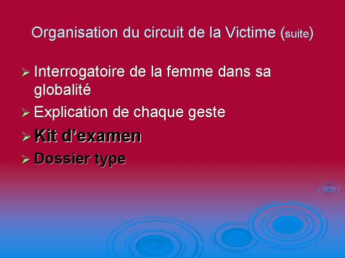 diapositive8