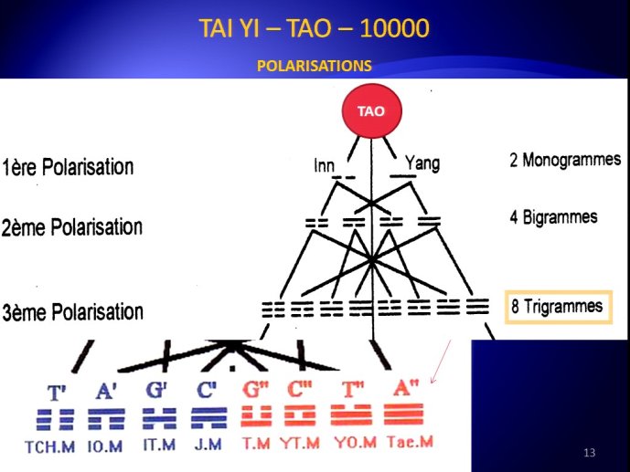 slide_0014_full