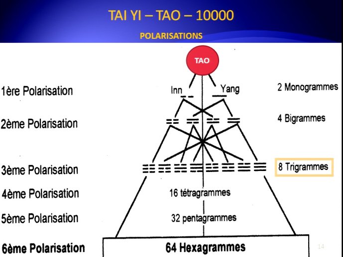 slide_0015_full