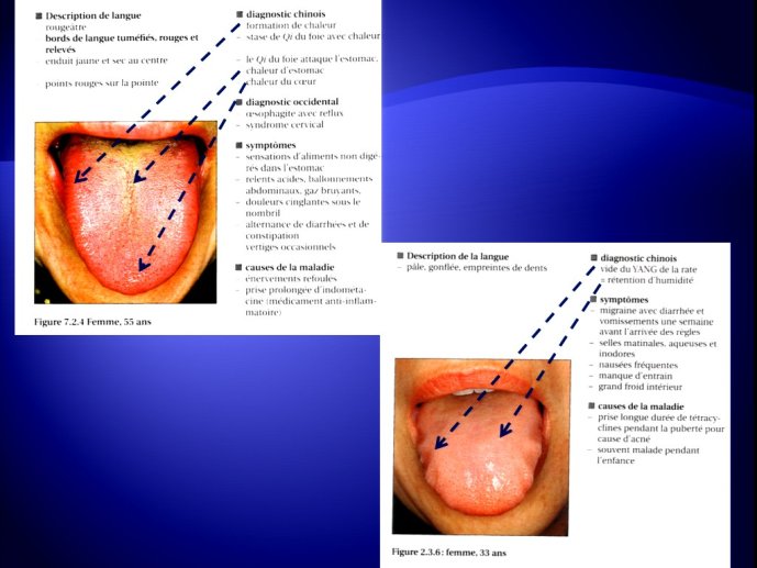 slide_0109_full