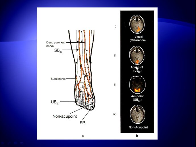 slide_0124_full