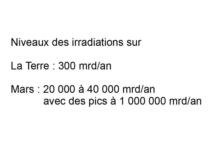 Delpoux-AnimalLove-13.jpg