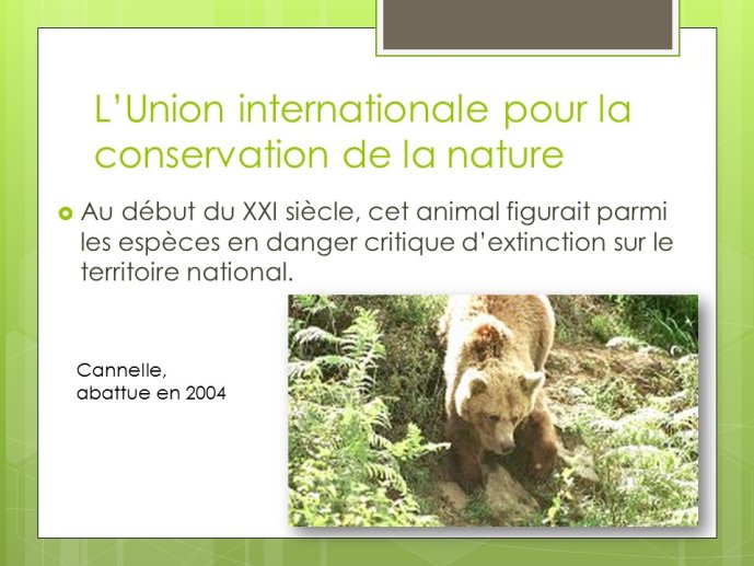 LopezMujica-AnimalLove-05.JPG