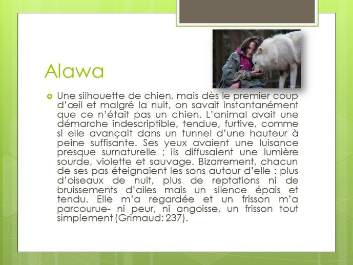 LopezMujica-AnimalLove-13.JPG