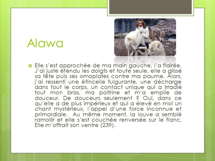LopezMujica-AnimalLove-14.JPG