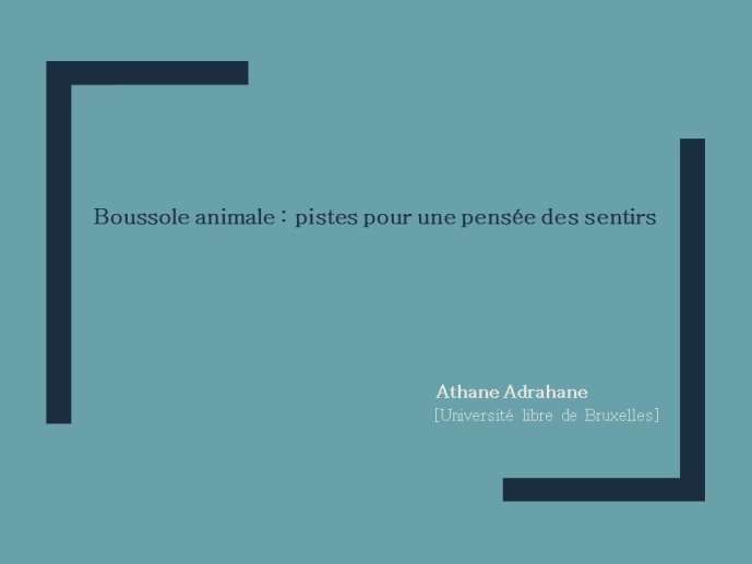 Adrahane-AnimalLove-1.JPG