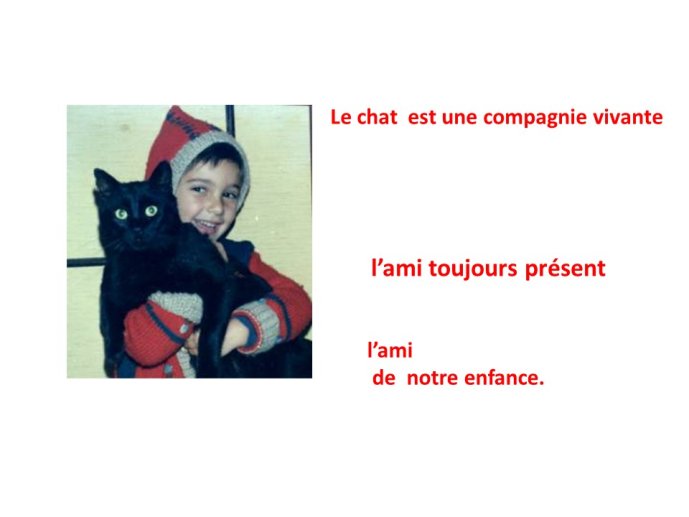 TrevisaniBach-AnimalLove-14.JPG