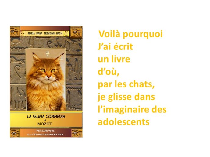 TrevisaniBach-AnimalLove-15.JPG