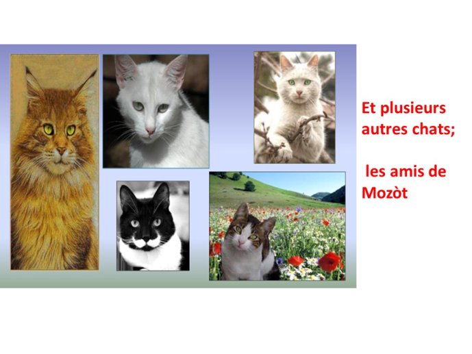 TrevisaniBach-AnimalLove-39.JPG