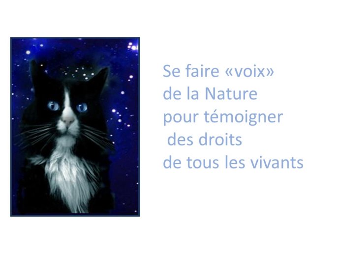 TrevisaniBach-AnimalLove-42.JPG