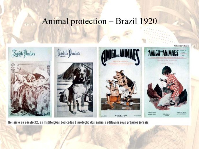Zelia Bora-AnimalLove-02.jpg