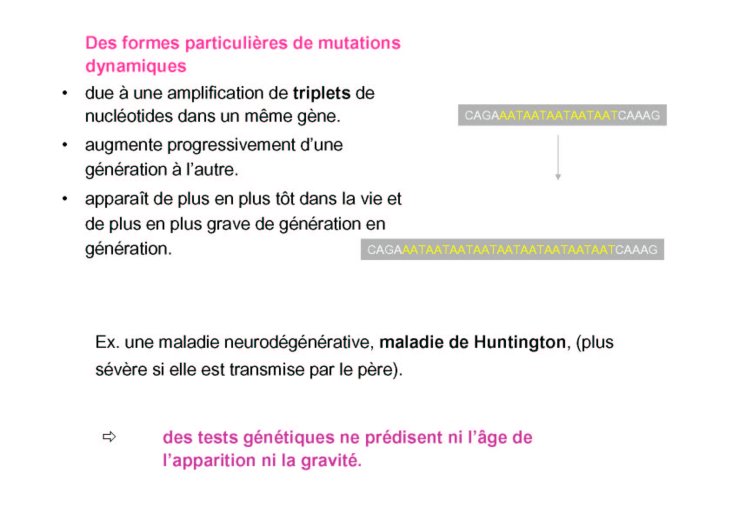 ChalonUTLSfev2010_27