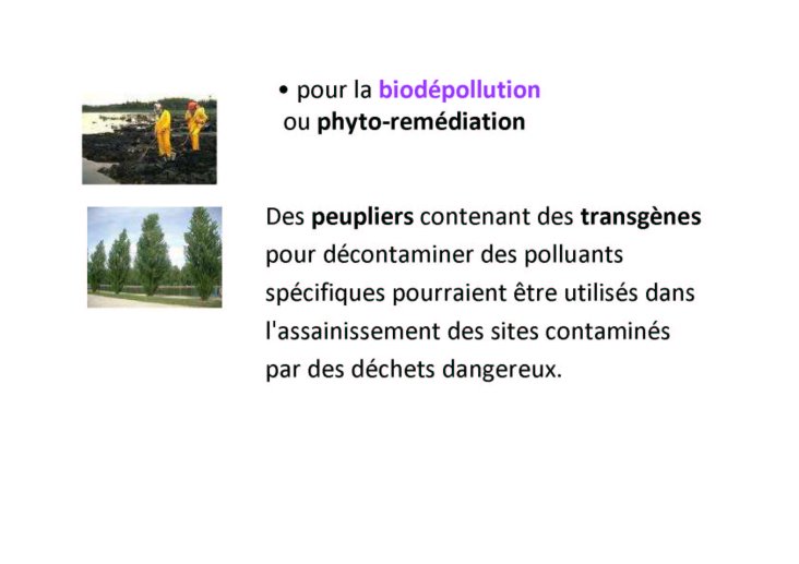 ChalonUTLSfev2010_36