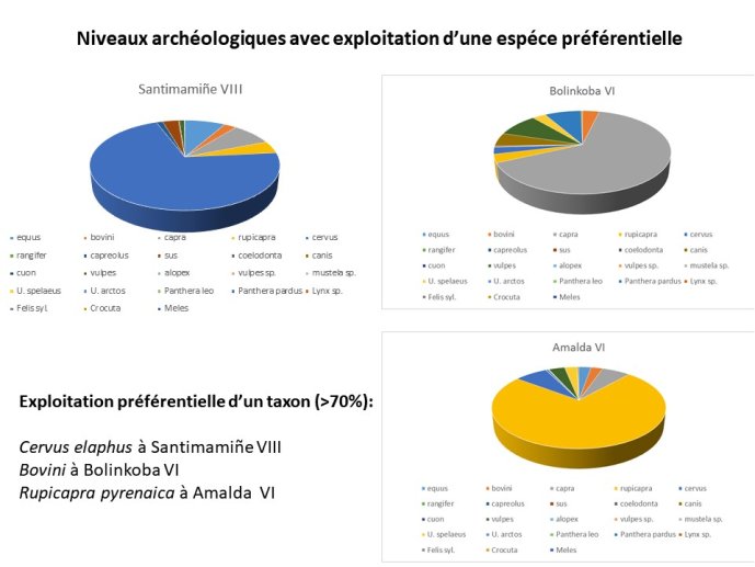 Arrizabalaga-DerniereGlaciation-37.JPG