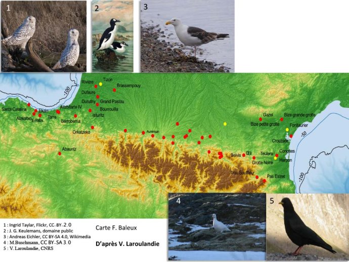 Langlais-Petillon-DerniereGlaciation-15.jpg