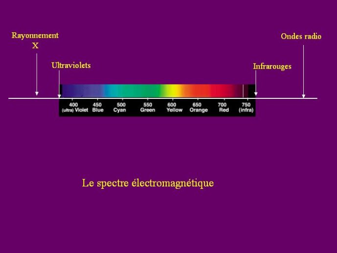 Diapositive19