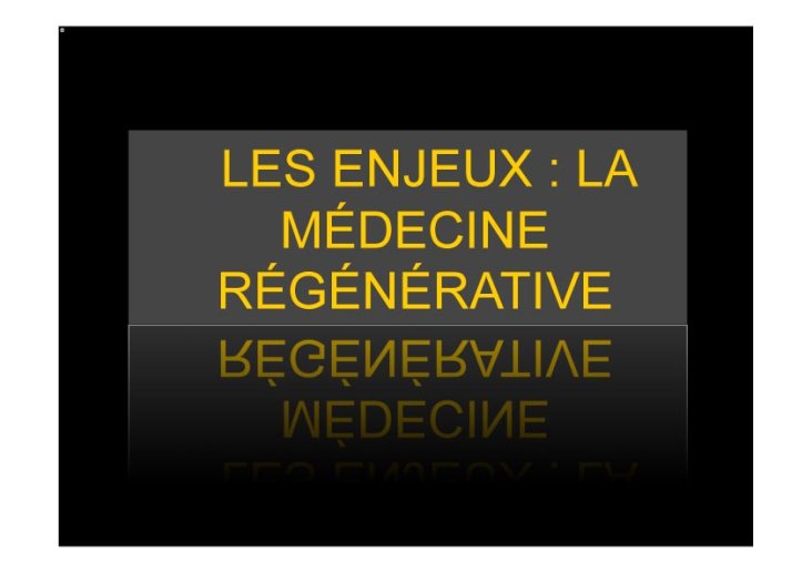 PPT%2028%2004%202010Dignes%20les%200002%20copie