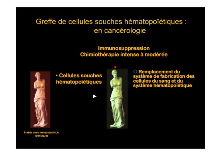 PPT%2028%2004%202010Dignes%20les%200019%20copie