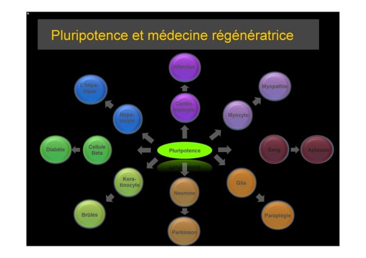 PPT%2028%2004%202010Dignes%20les%200023%20copie