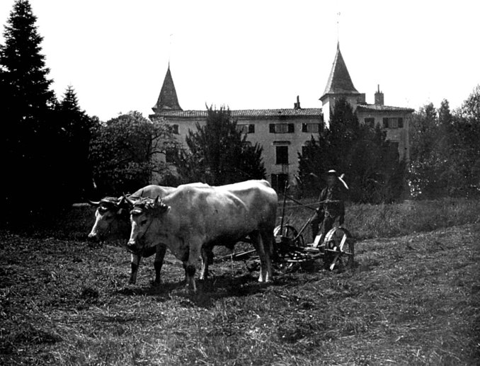 Parc%20du%20chateau%20du%20Mirail%20-%20P