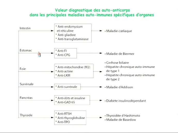 slide_0020_full