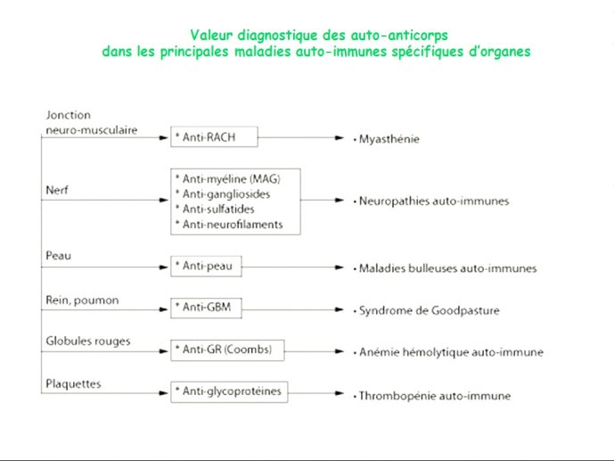 slide_0021_full