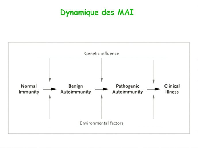 slide_0039_full
