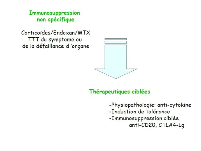 slide_0042_full