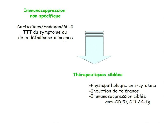 slide_0042_full