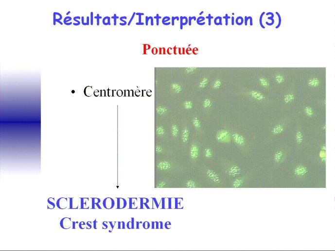 slide_0141_full