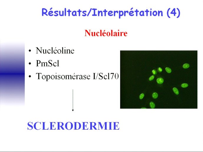 slide_0142_full