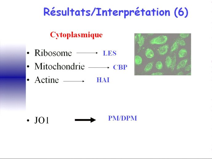 slide_0144_full