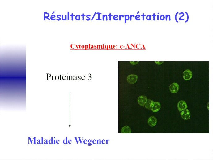 slide_0151_full