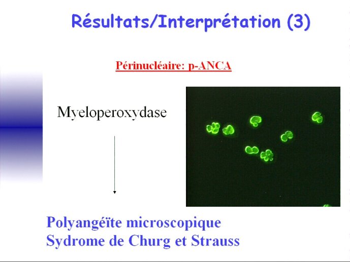 slide_0152_full