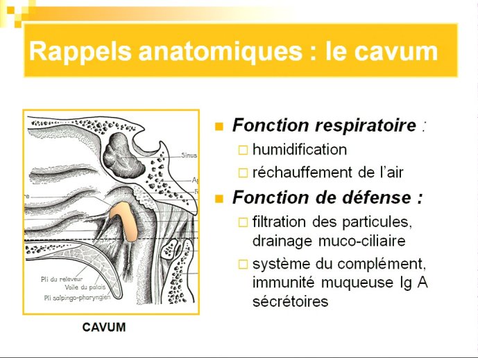 slide_0019_full