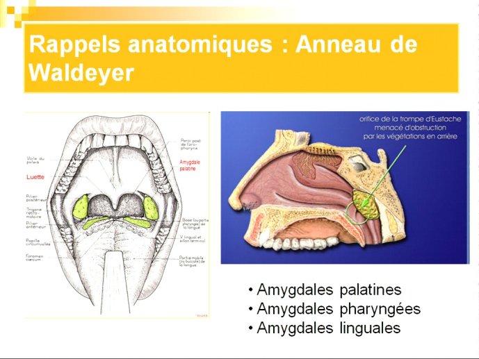 slide_0021_full