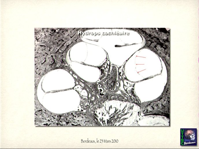 slide_0073_full