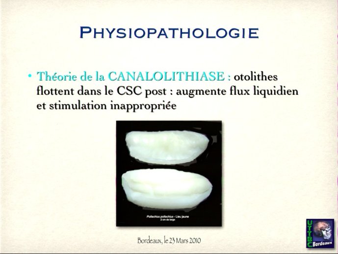 slide_0084_full