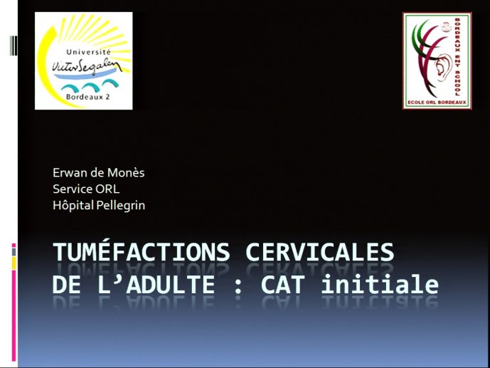 slide_0093_full