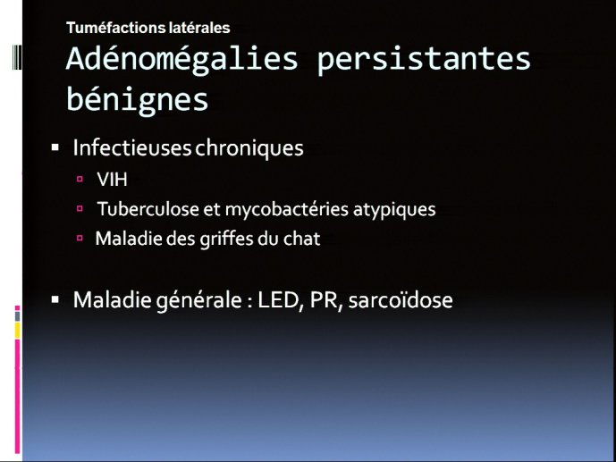 slide_0107_full