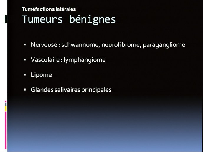 slide_0109_full