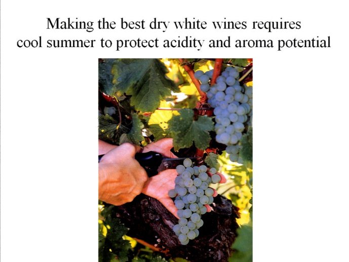 slide_0011_full