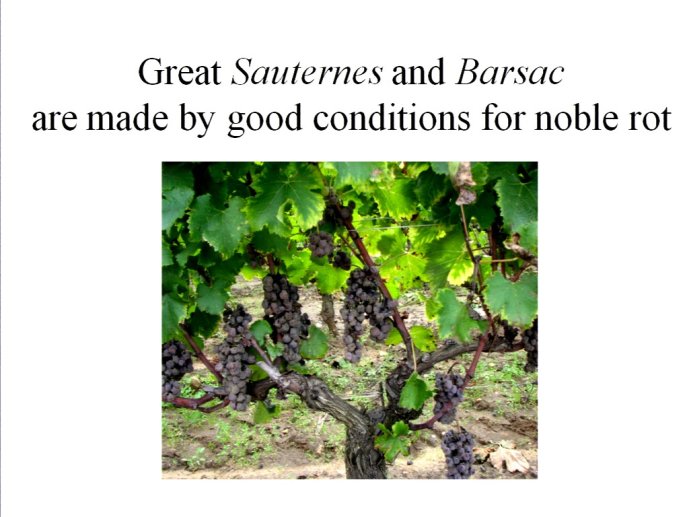 slide_0016_full