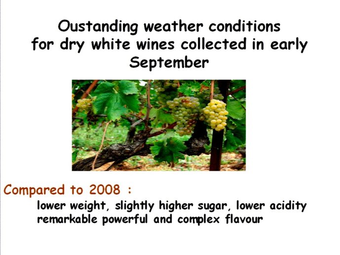 slide_0031_full