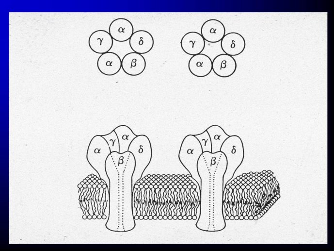 Diapositive9