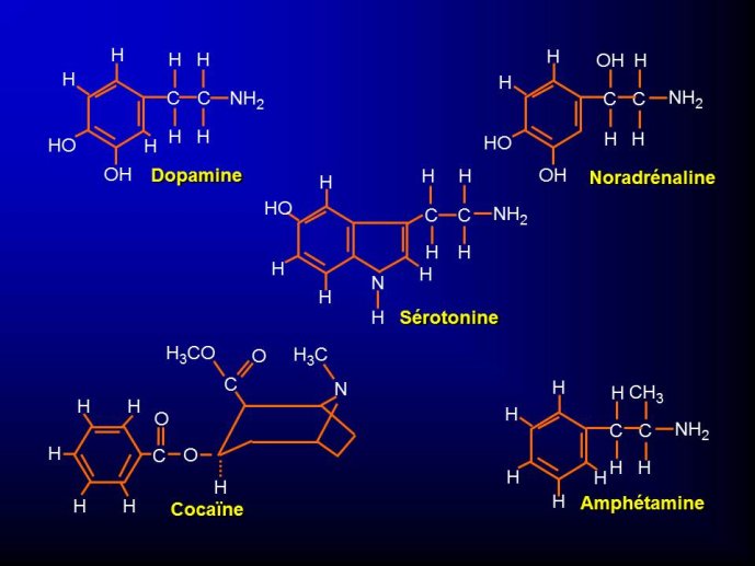 Diapositive12