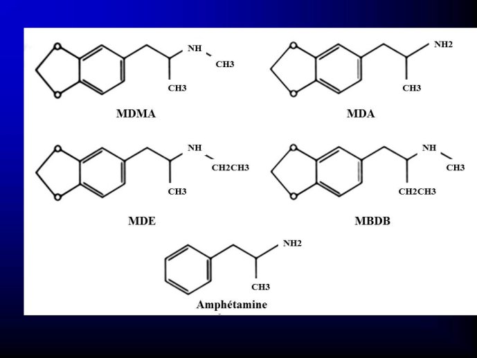 Diapositive13