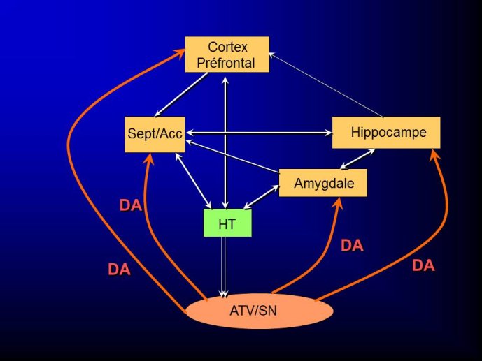 Diapositive16
