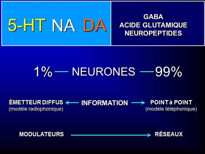 Diapositive25