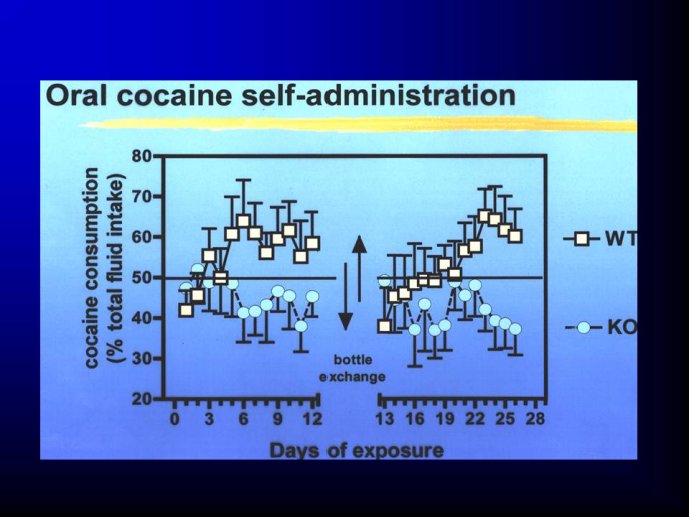 Diapositive36